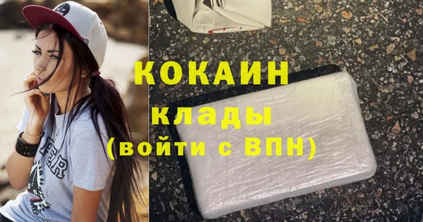 крисы Абаза