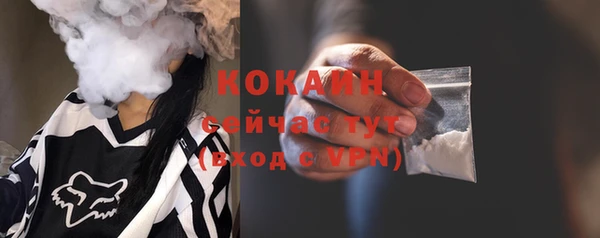 крисы Абаза