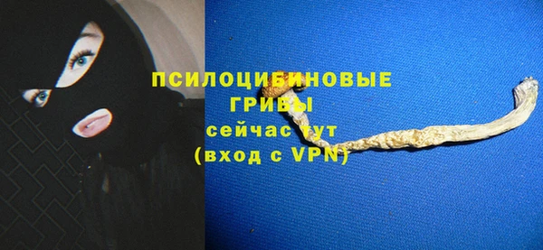 крисы Абаза