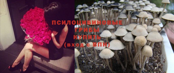 сатива Алексеевка