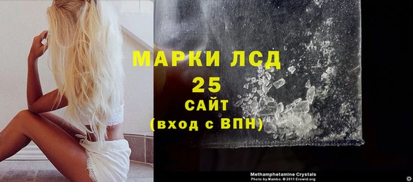 крисы Абаза