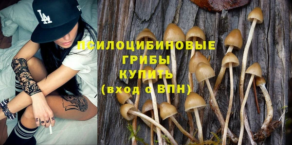 крисы Абаза